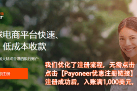 Payoneer(派安盈)解决人民币个人结汇超过5万美金限制的方法！